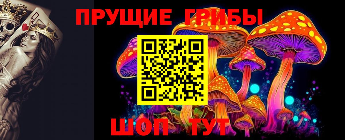 Тобольск  Псилоцибиновые грибы ЛСД  Вход с VPN 